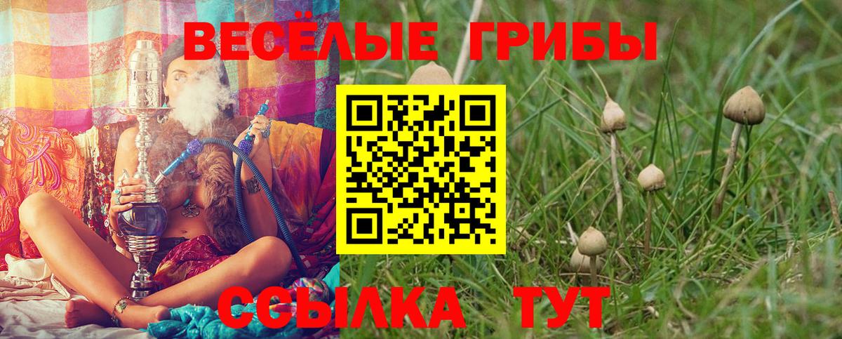 Галлюциногенные грибы Psilocybine cubensis  Галлюциногенные грибы ЛСД  Вход с VPN  Фурманов 